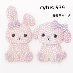 cytus 539さま　3.5点 トレイ