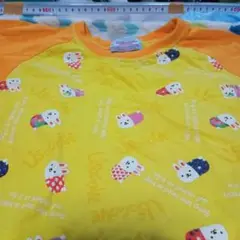 ウサコレフレンズ　管理番号D
