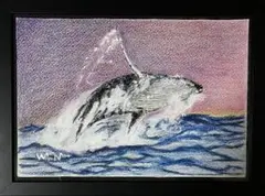 クジラの色鉛筆画