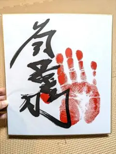 のりくんさん専用ページ 貴景勝 色紙 Amazon.co.jp: 令和5年最新！！ 大相撲、大関『貴景勝』関、手形