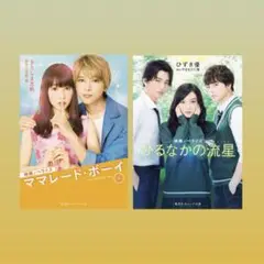 ママレード・ボーイ & ひるなかの流星　小説