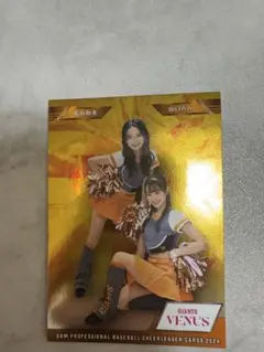 Item thumbnail for item 57024d01-20a8-4143-8ea1-523889e18e9b