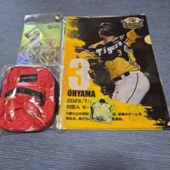 阪神タイガース 大山悠輔 選手 グッズセット カードセット。