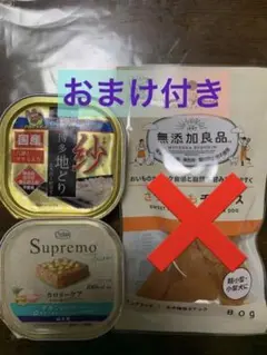 犬用フード ドギーマン シュプレモ おまけ付き