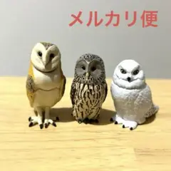 海洋堂　カプセルＱ　福をよぶフクロウ大全　シロフクロウ　メンフクロウ　フィギュア