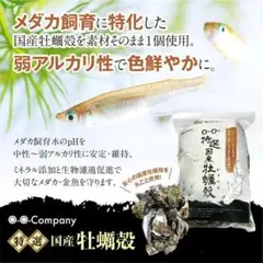 特選 国産牡蠣殻 メダカ、金魚弱アルカリ性水質 (300g)