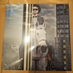 前野健太 ハッピーランチ LP