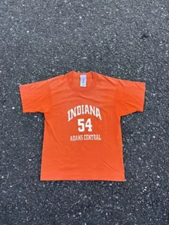 古着 レア フルーツオブザルーム Tシャツ 90s シングルステッチ