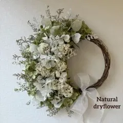 ＊Natural＊アナベルとルナリアの夏リース☆ドライフラワーリース