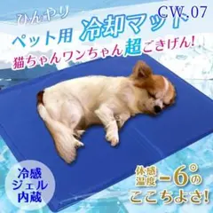 Item thumbnail for item 447fc1da-7a5c-4f77-8c92-4b1e470a2235
