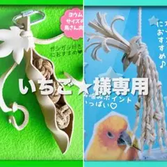 Item thumbnail for item a44b532c-6362-43e8-a132-4b3f5bef827d