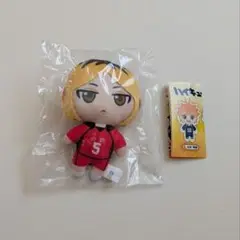 ハイキュー ぬいぐるみマスコット 孤爪研磨 ガチャガチャ