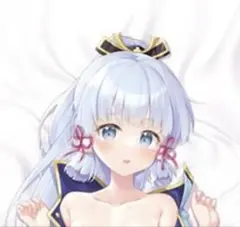 正規品 未開封 原神 抱き枕カバー 神里綾華 Miazi シュトレン A&J 正規品 未開封 原神 抱き枕カバー 神里綾華 Miazi シュトレン