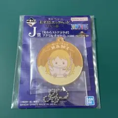 一番くじ ワンピース 未来島エッグヘッド J賞 ナミ ②
