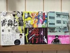 藤原七瀬 ナナオ 3冊セット（賢者避行／雷轟と猫／幸も不幸も最適量）初版 美品