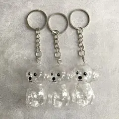 Item thumbnail for item 45366c92-566b-41c7-b705-5feb69a92787