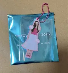 SMTOWN LIVE 2025 ミニアクリルキーホルダー ジョイ