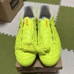 ASICS x-flypro2 limited パリ 24.5㎝