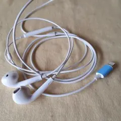 Apple 有線 イヤホン