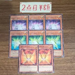 紫光の宣告者 3枚/緑光の宣告者 3枚/朱光の宣告者 2枚