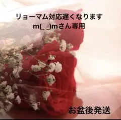 リョーマム対応遅くなりますm(_ _)mさん専用