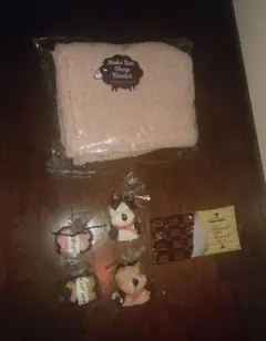 Item thumbnail for item 15e951c9-9007-47a8-825d-42154ab30b77