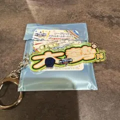 オールスター　シークレットアクリルキーホルダー　大勢選手　読売ジャイアンツ