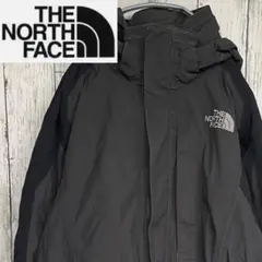 【USA規格】THE NORTH FACE マウンテンパーカー 刺繍ロゴ L