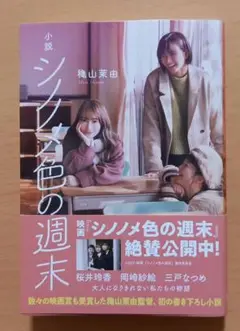 小説 シノノメ色の週末