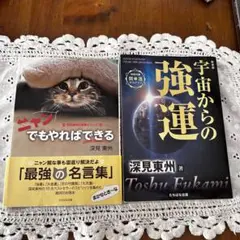 深見東洲　ニャンでもやればできる　宇宙からの強運　2冊セット