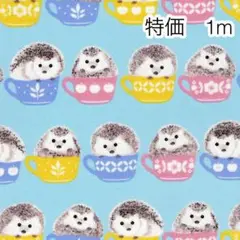 ラスト2点 特価 1m ハリネズミ ブルー オックス