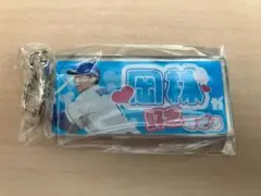ガチャ　推し選手　ホルダー　岡林　選手　中日　ドラゴンズ
