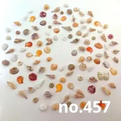 no.457 ウニ殻と天然ミニ貝殻 セット