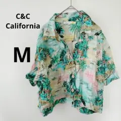 Item thumbnail for item 1ba3a1e7-fa29-4a87-8e6b-d2543b1883a0