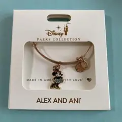 WDW Alex And Ani ブレスレット　ディズニーワールド限定　レア Disney - WDW Alex And Ani ブレスレット ディズニーワールド