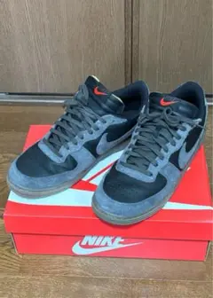 ナイキ ターミネーター ロー Nike Terminator Low 29㎝