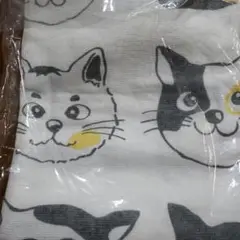 ねこねこ 片面パイルバスタオル