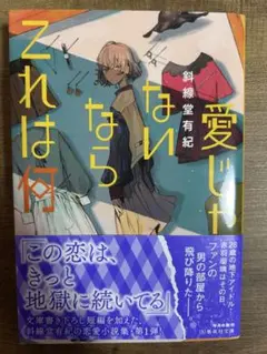 愛じゃないならこれは何　文庫本