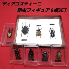 2025年最新】マルスゾウカブト標本の人気アイテム - メルカリ