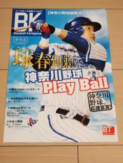 BK ベースボール神奈川 2017球場配布冊子 筒香嘉智増田珠に万波中正正木智也