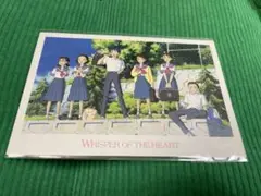 耳をすませば ポストカード 千と千尋の神隠し クリアファイル