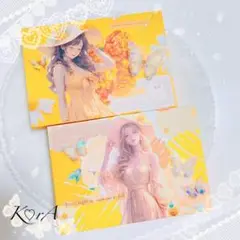 No.65♡蛇腹ファイル♡ おすそ分けファイル 2点セット 【匿名配送】