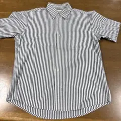 HARVARD ストライプ 半袖シャツ M