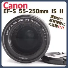 Item thumbnail for item 490c35a6-e331-4770-bba5-3de423717469