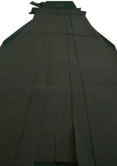 Item thumbnail for item 172e2d70-9fdd-4964-8629-38dde072d673