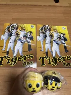 阪神タイガースグッズ　リストバンド&ノート