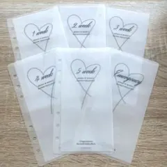 バインダー 貯金 リフィル A6 家計　韓国 saving 1week