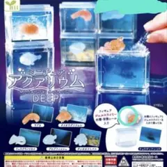 Item thumbnail for item 80a6e216-aef5-4f65-aba5-53d0890534bb