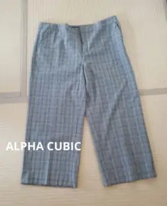 ALPHA CUBIC ワイドパンツ