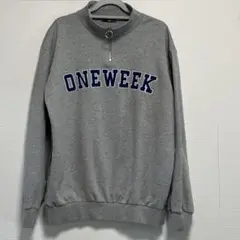 メンズ トレーナー スウェット ハーフジップ グレー F